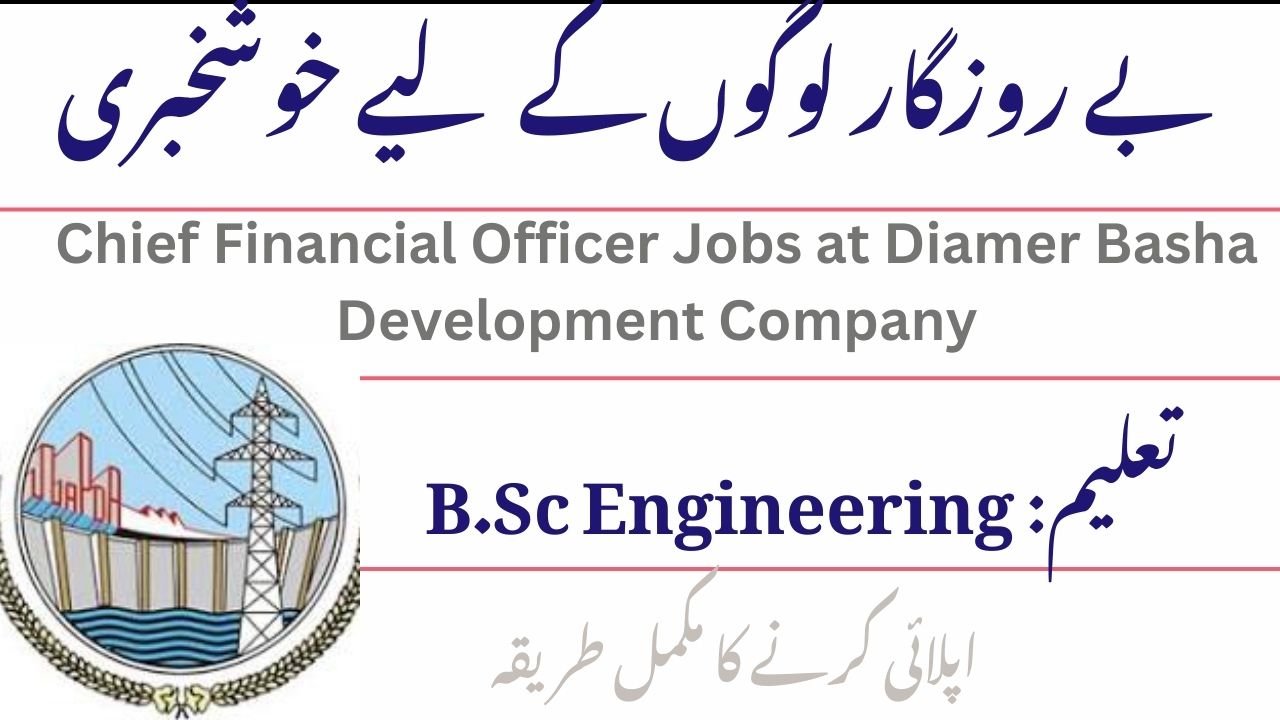 Chief Financial Officer Jobs at Diamer Basha Development Company