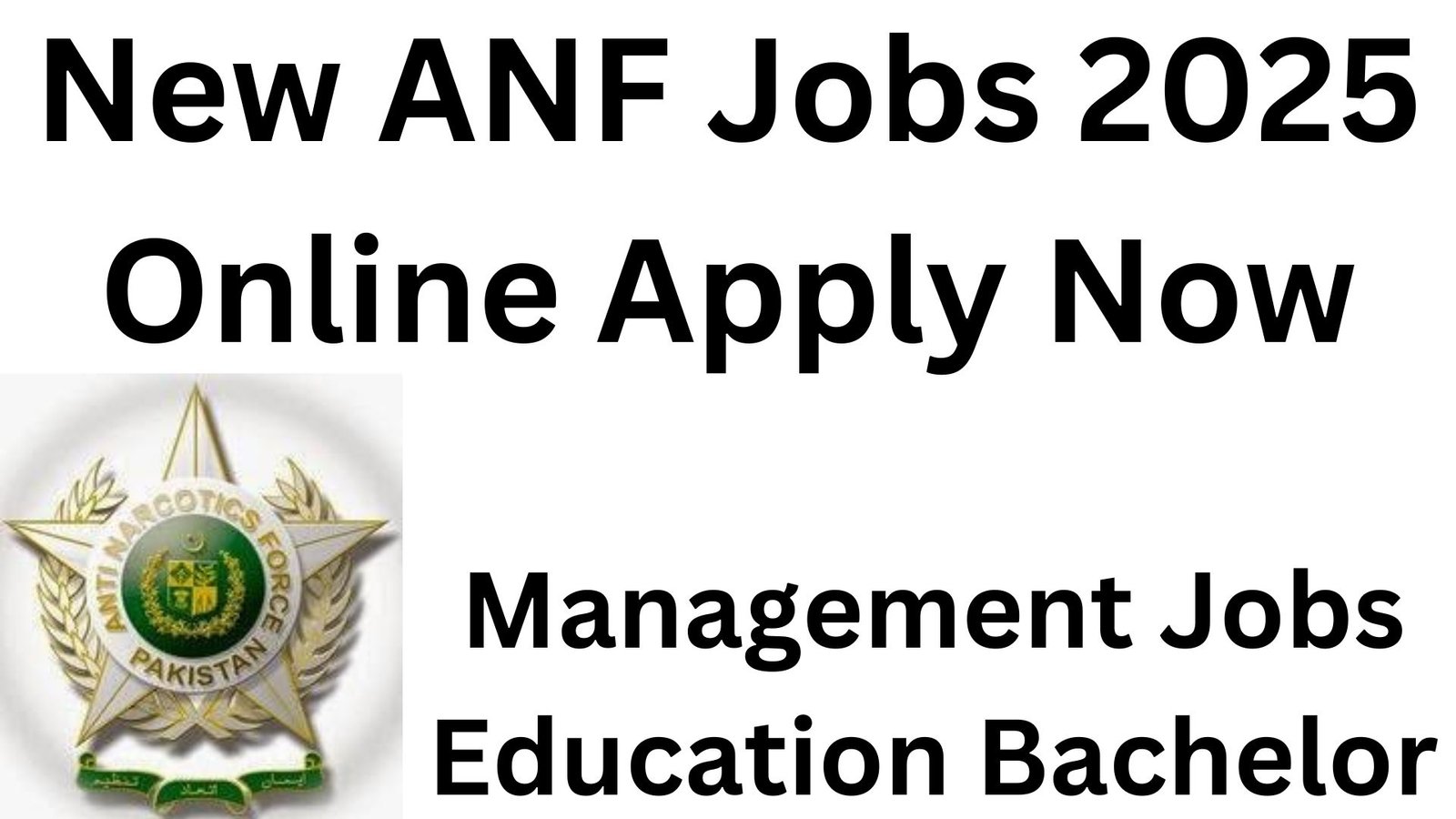 New ANF Jobs 2025 Online Apply Now